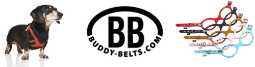  バディーベルト(Buddy Belt)製品の価格改定のお知らせ